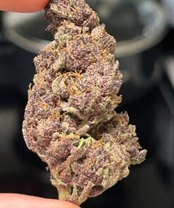 Tropicana Cherry (User Video)