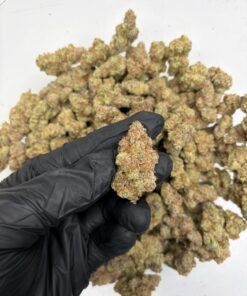 Alternative view of Grape Gas LB (Indoor Exotic)