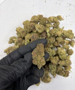 Alternative view of Pinnacle LB Standard Deps (Flash Sale)