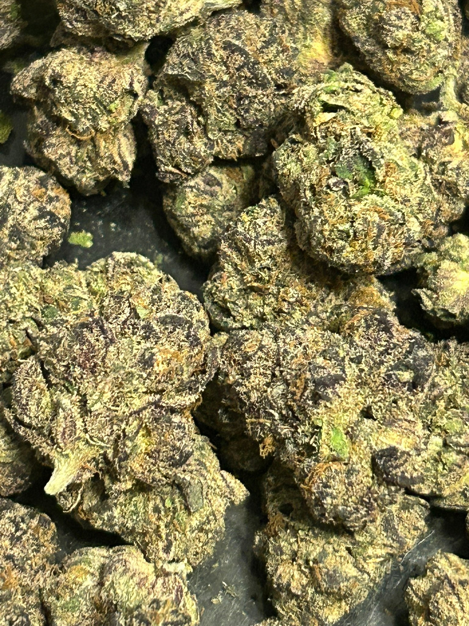 Zereal Exotic (User Pics/vid) - Image 2