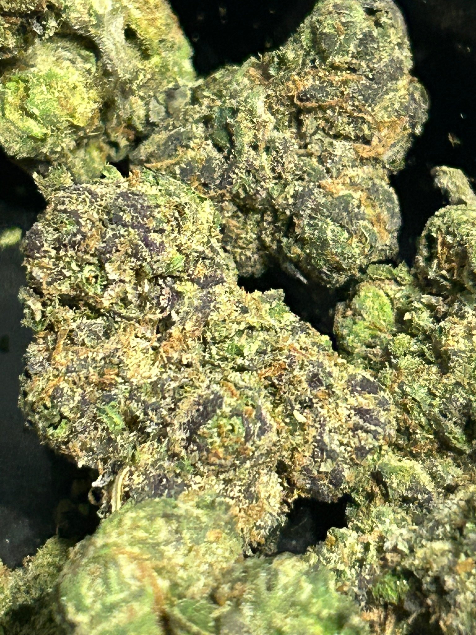 Zereal Exotic (User Pics/vid) - Image 3