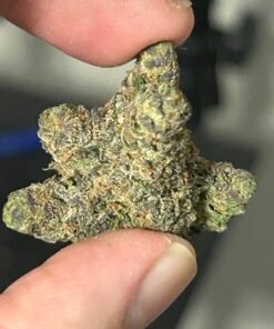 Zereal Exotic (User Pics/vid)