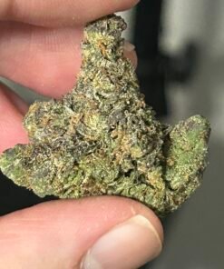 Zereal Exotic (User Pics/vid) - Image 4