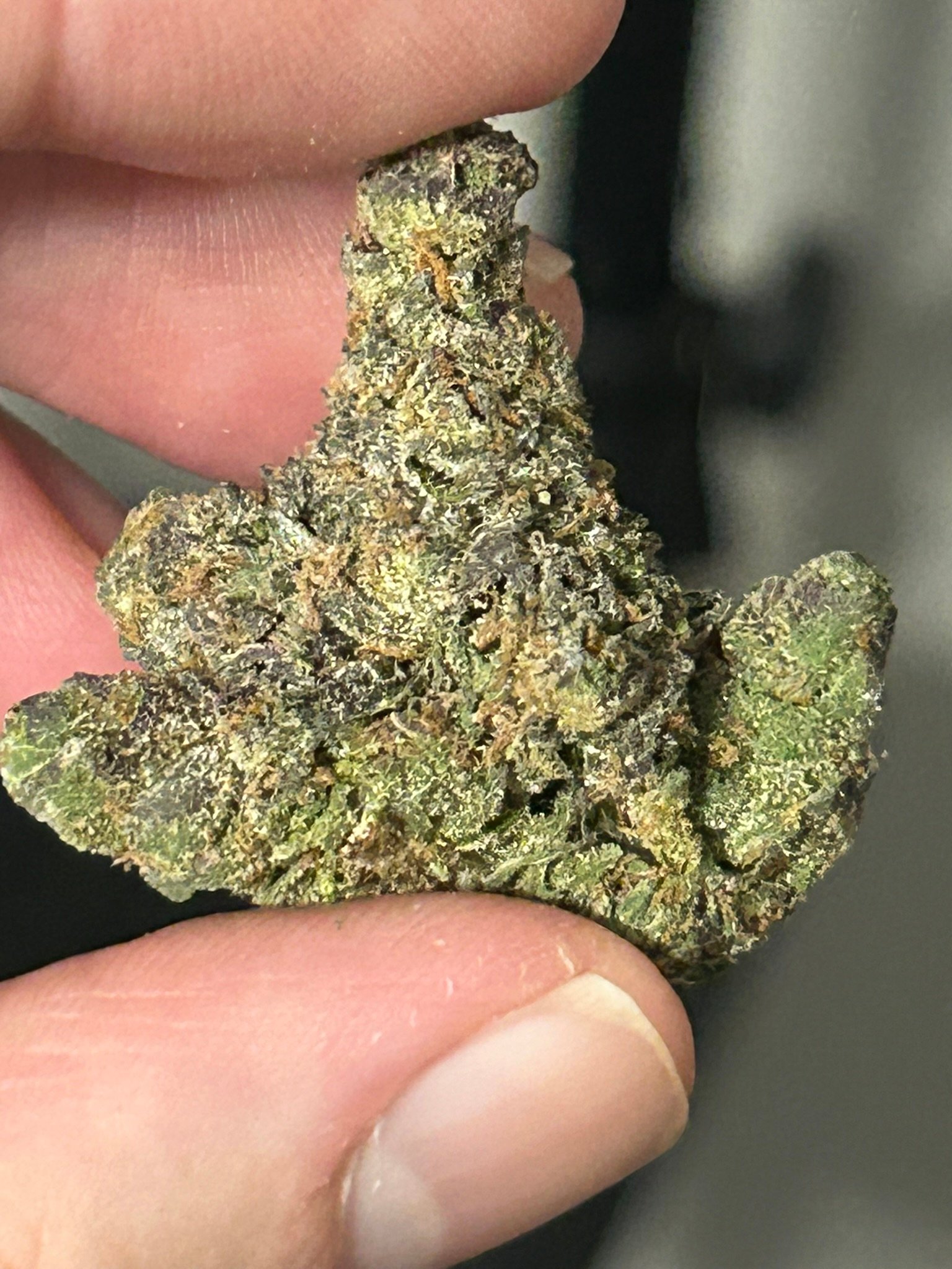 Zereal Exotic (User Pics/vid) - Image 4