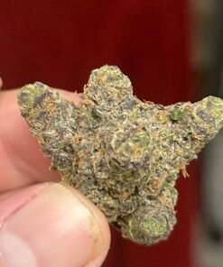 Zereal Exotic (User Pics/vid) - Image 6