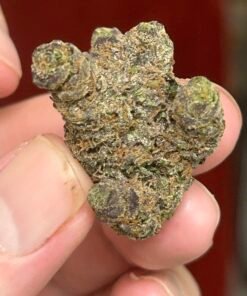 Zereal Exotic (User Pics/vid) - Image 7