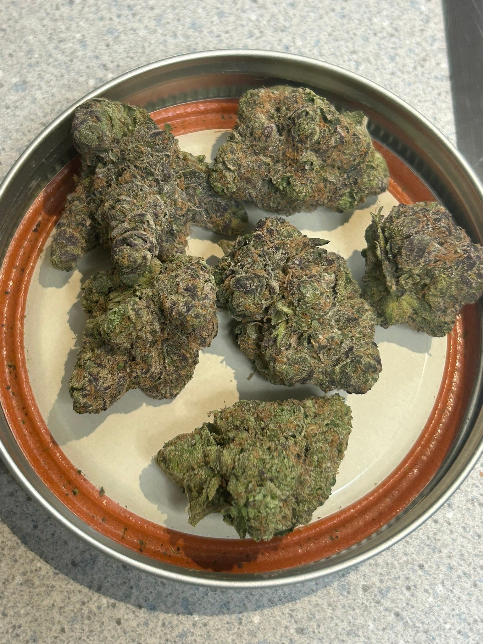 Zereal Exotic (User Pics/vid) - Image 8