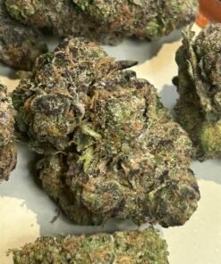 Zereal Exotic (User Pics/vid) - Image 9