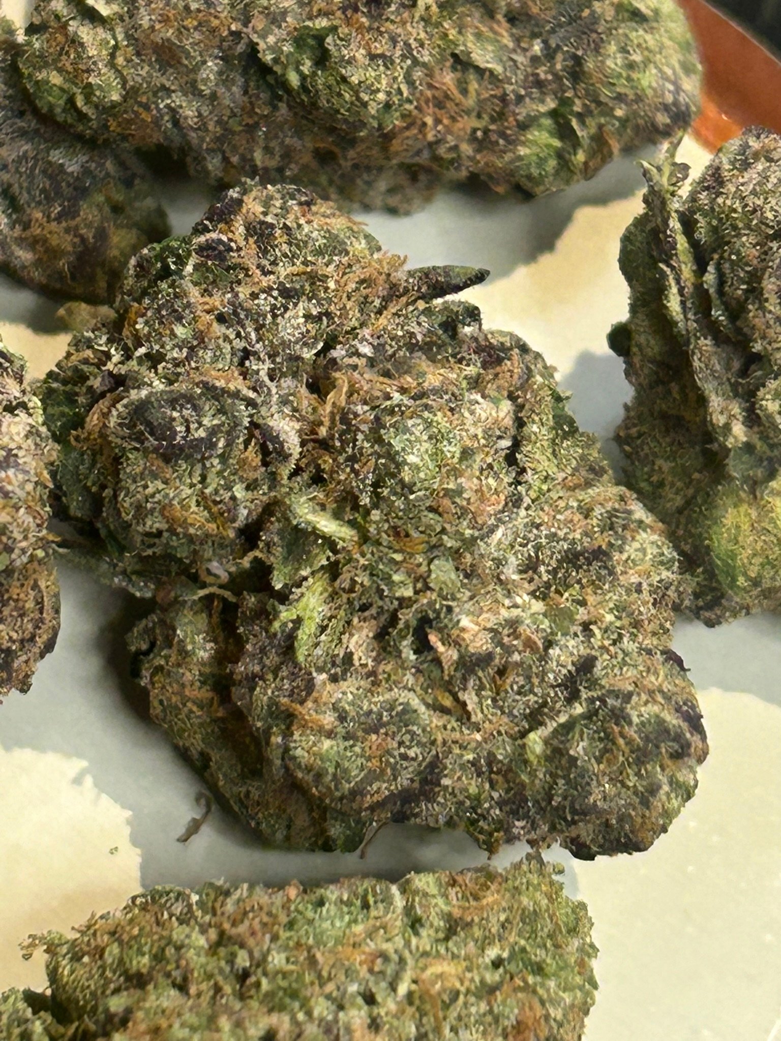 Zereal Exotic (User Pics/vid) - Image 9