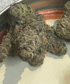 Zereal Exotic (User Pics/vid) - Image 10
