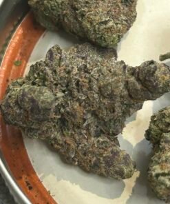Zereal Exotic (User Pics/vid) - Image 12