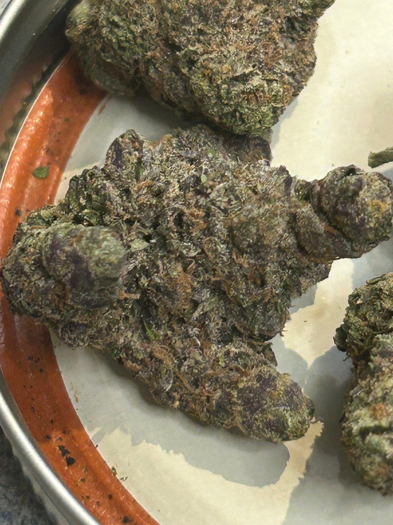 Zereal Exotic (User Pics/vid) - Image 12