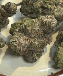 Zereal Exotic (User Pics/vid) - Image 13
