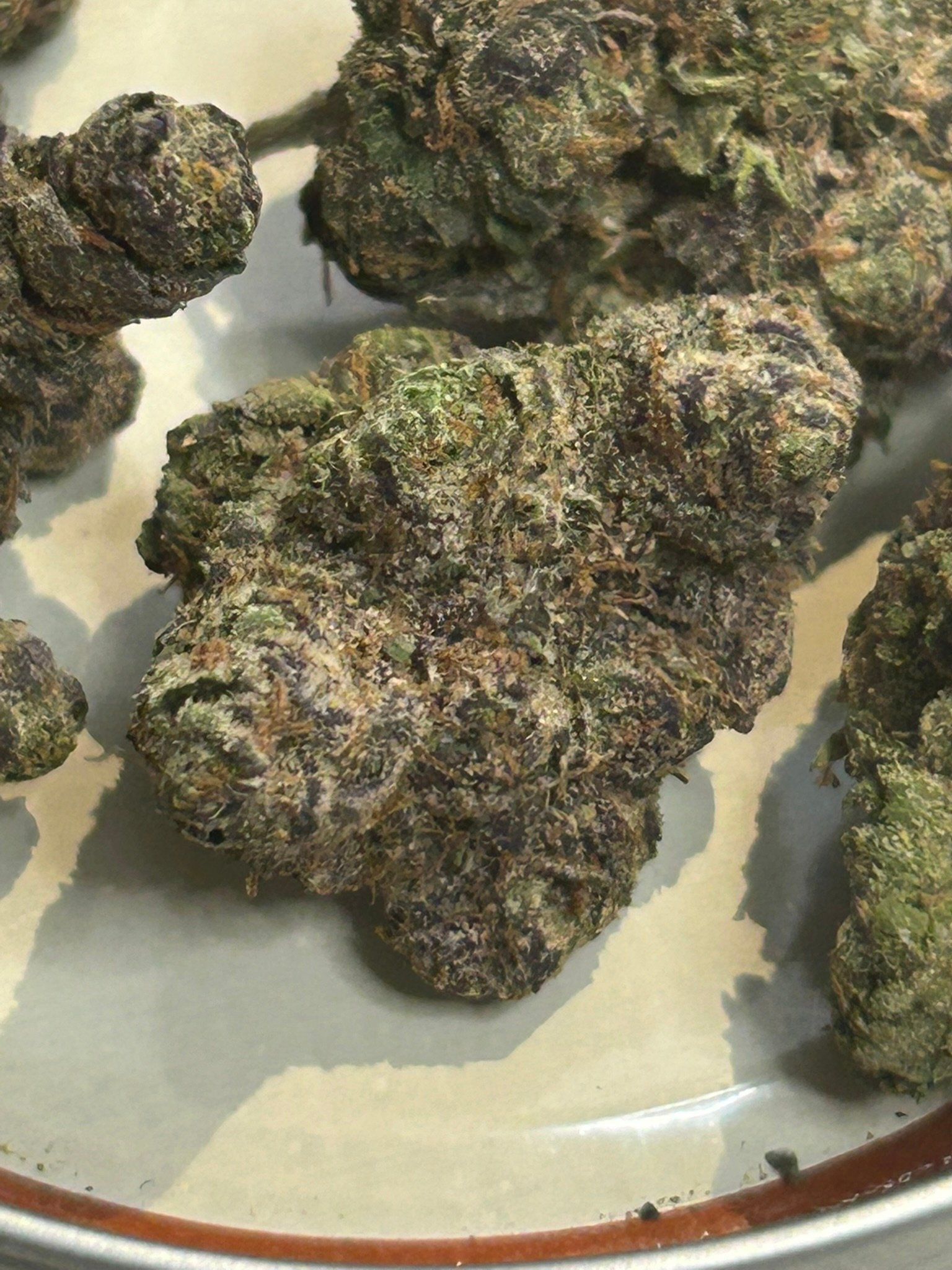 Zereal Exotic (User Pics/vid) - Image 13