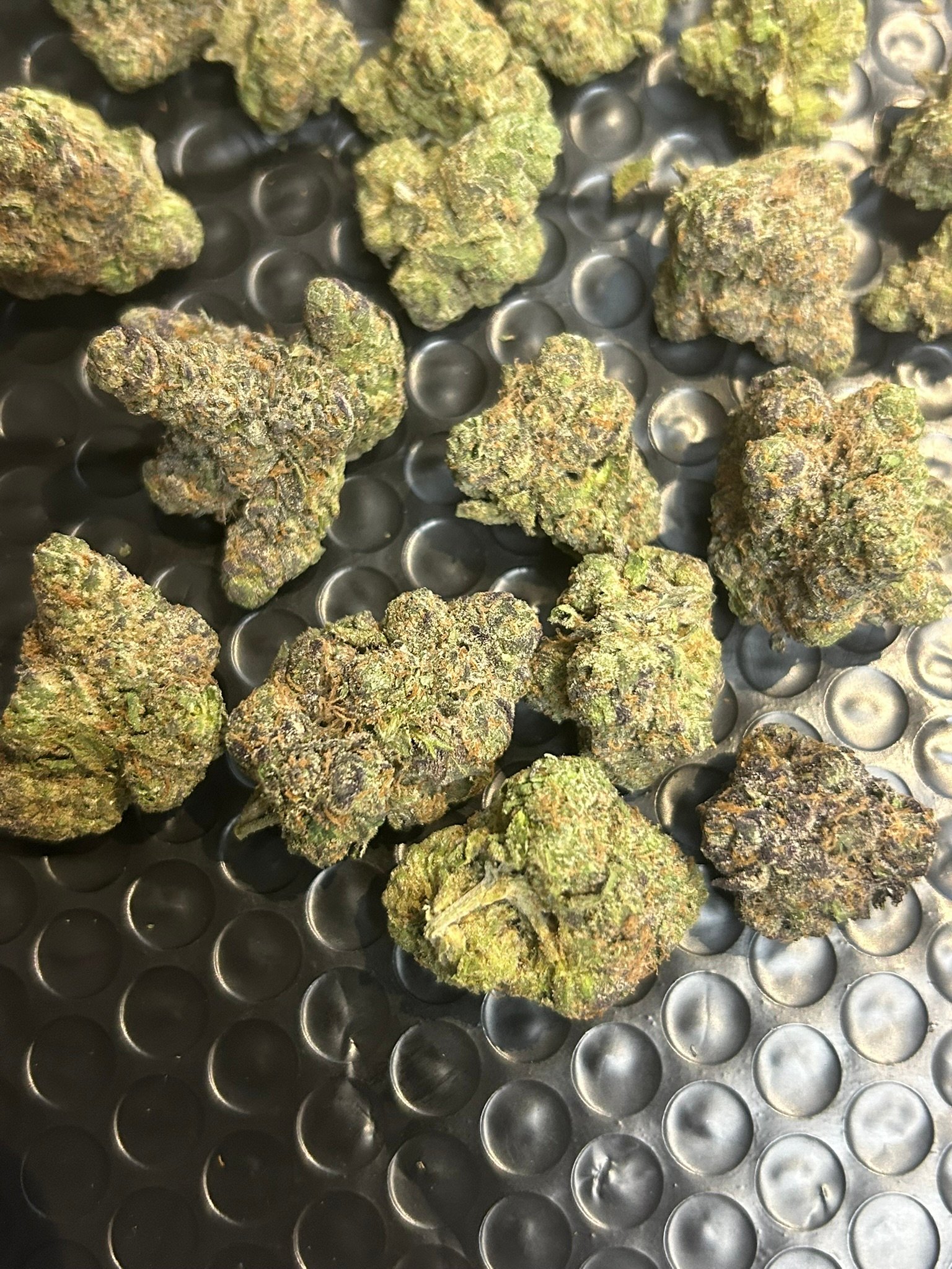Zereal Exotic (User Pics/vid) - Image 14