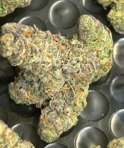 Zereal Exotic (User Pics/vid) - Image 15
