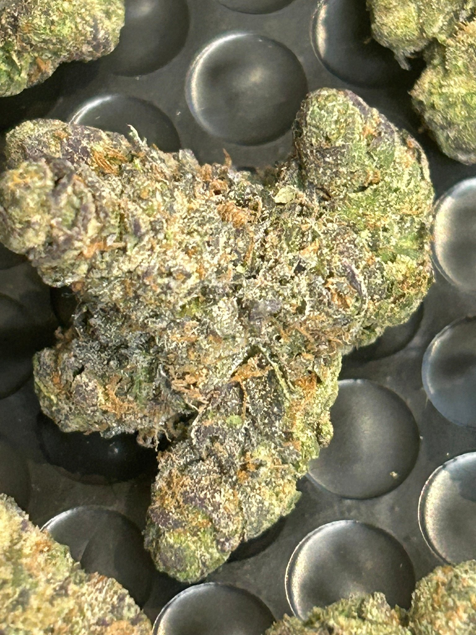 Zereal Exotic (User Pics/vid) - Image 15