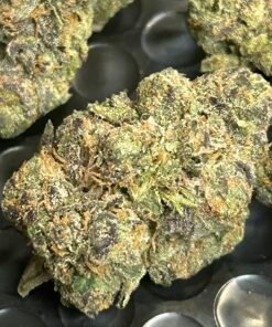 Zereal Exotic (User Pics/vid) - Image 16