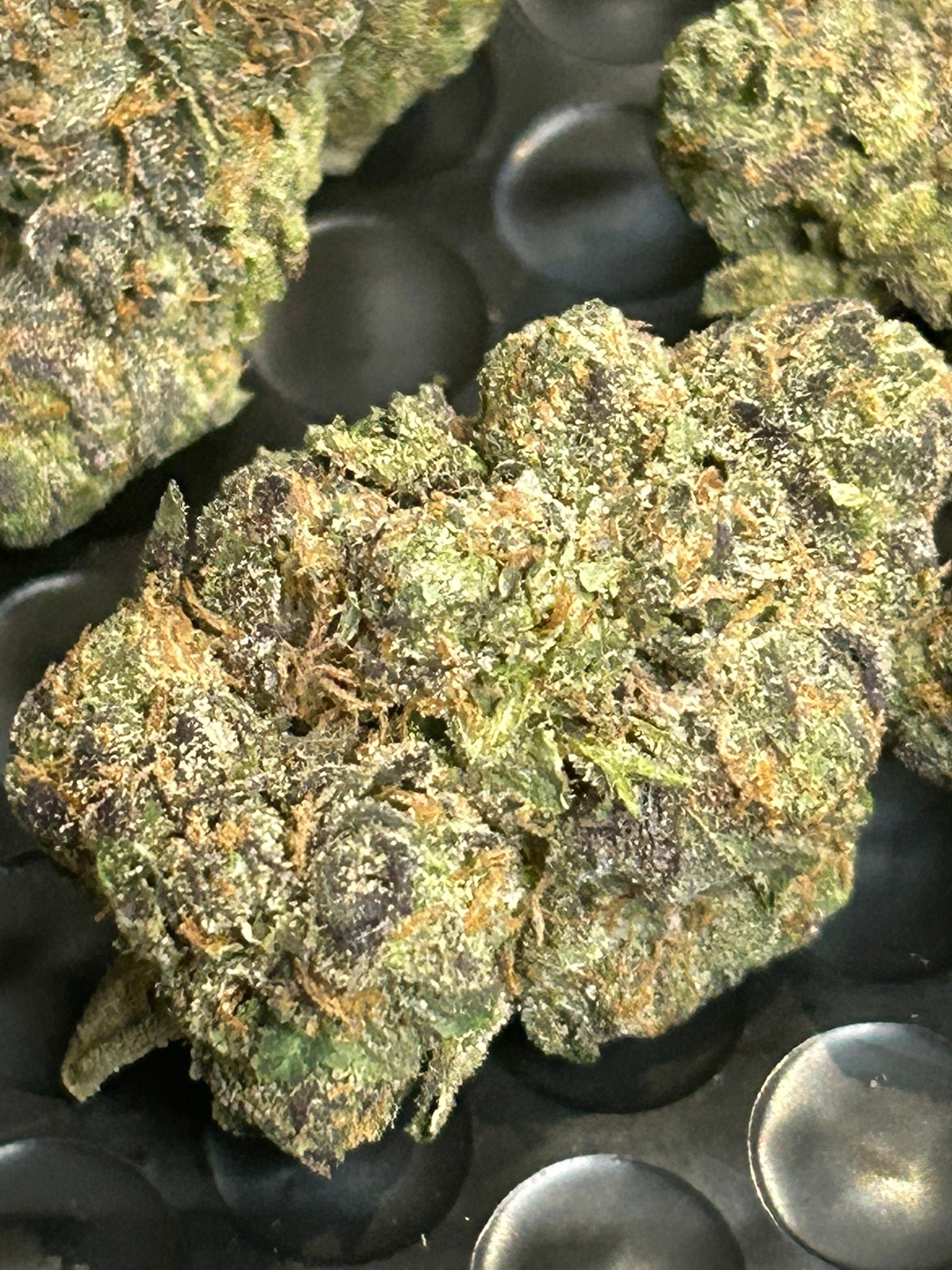 Zereal Exotic (User Pics/vid) - Image 16