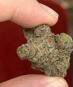 Zereal Exotic (User Pics/vid) - Image 17
