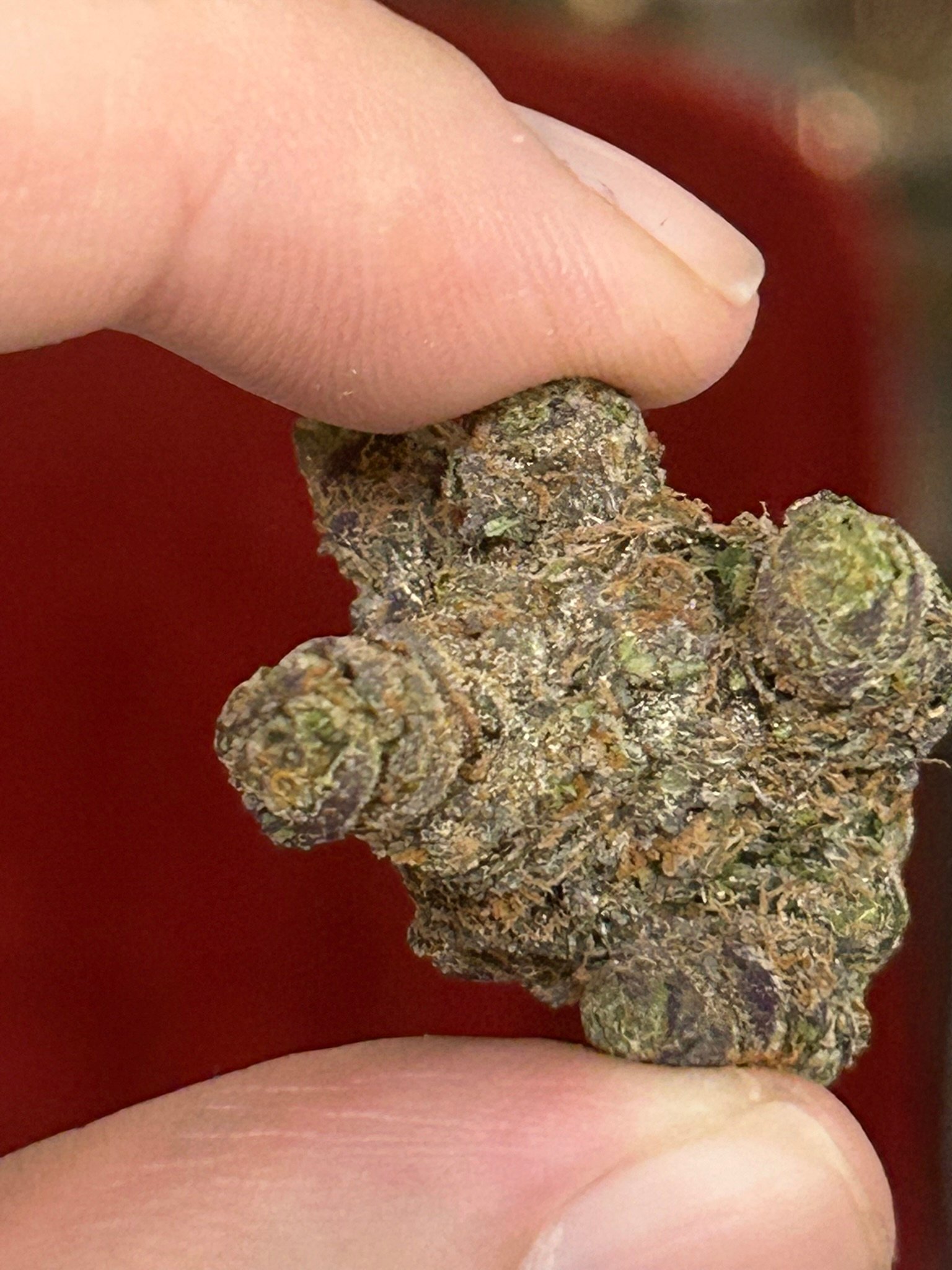 Zereal Exotic (User Pics/vid) - Image 17
