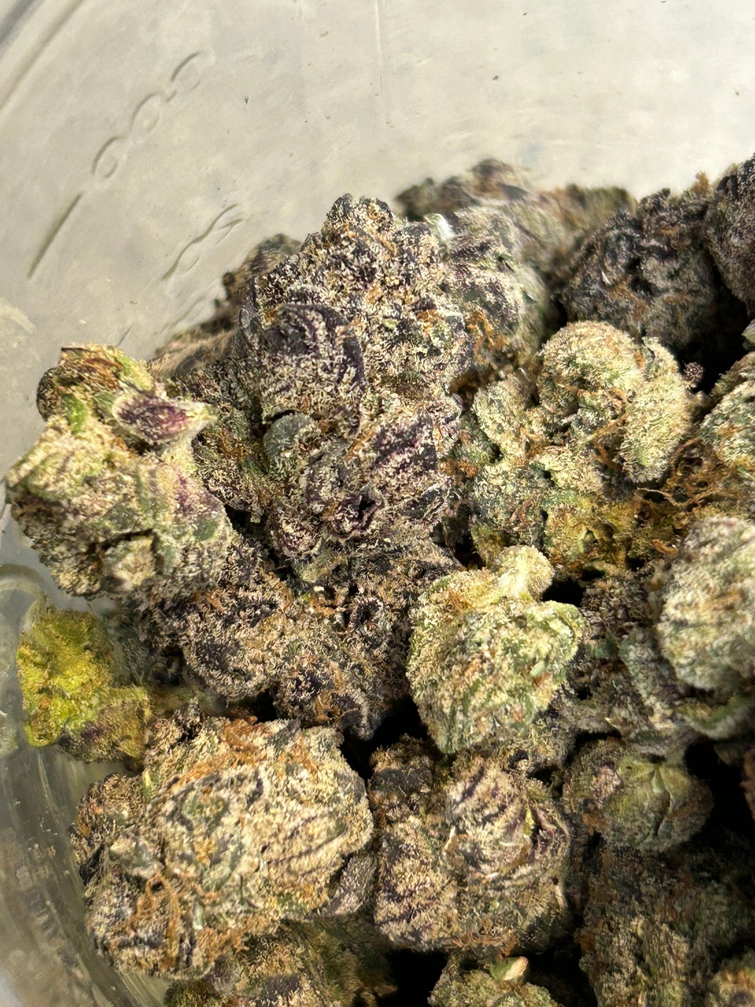 Blue Magic Exotic (User Pics/Vid) - Image 6