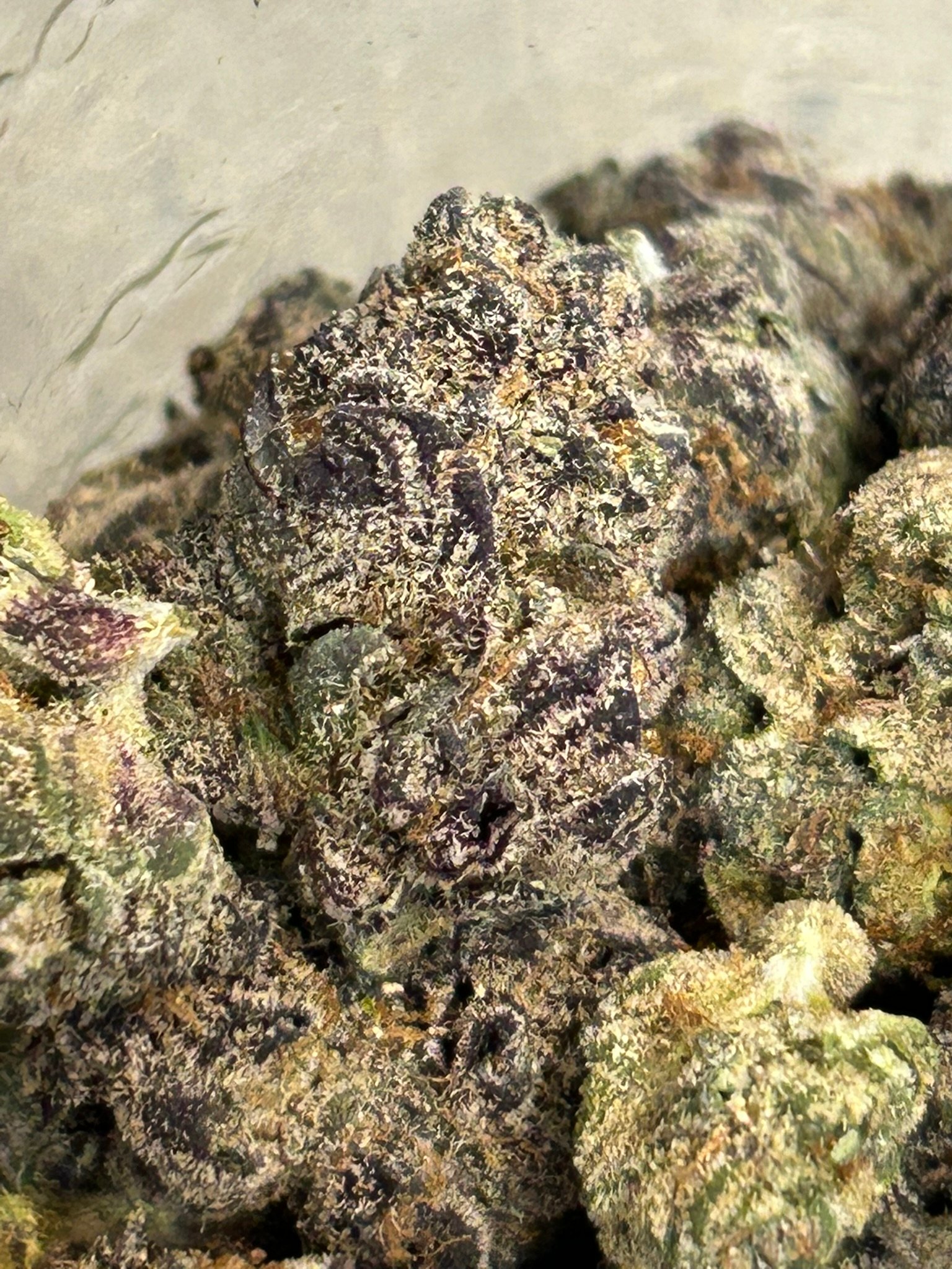 Blue Magic Exotic (User Pics/Vid) - Image 7