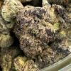 Blue Magic Exotic (User Pics/Vid)