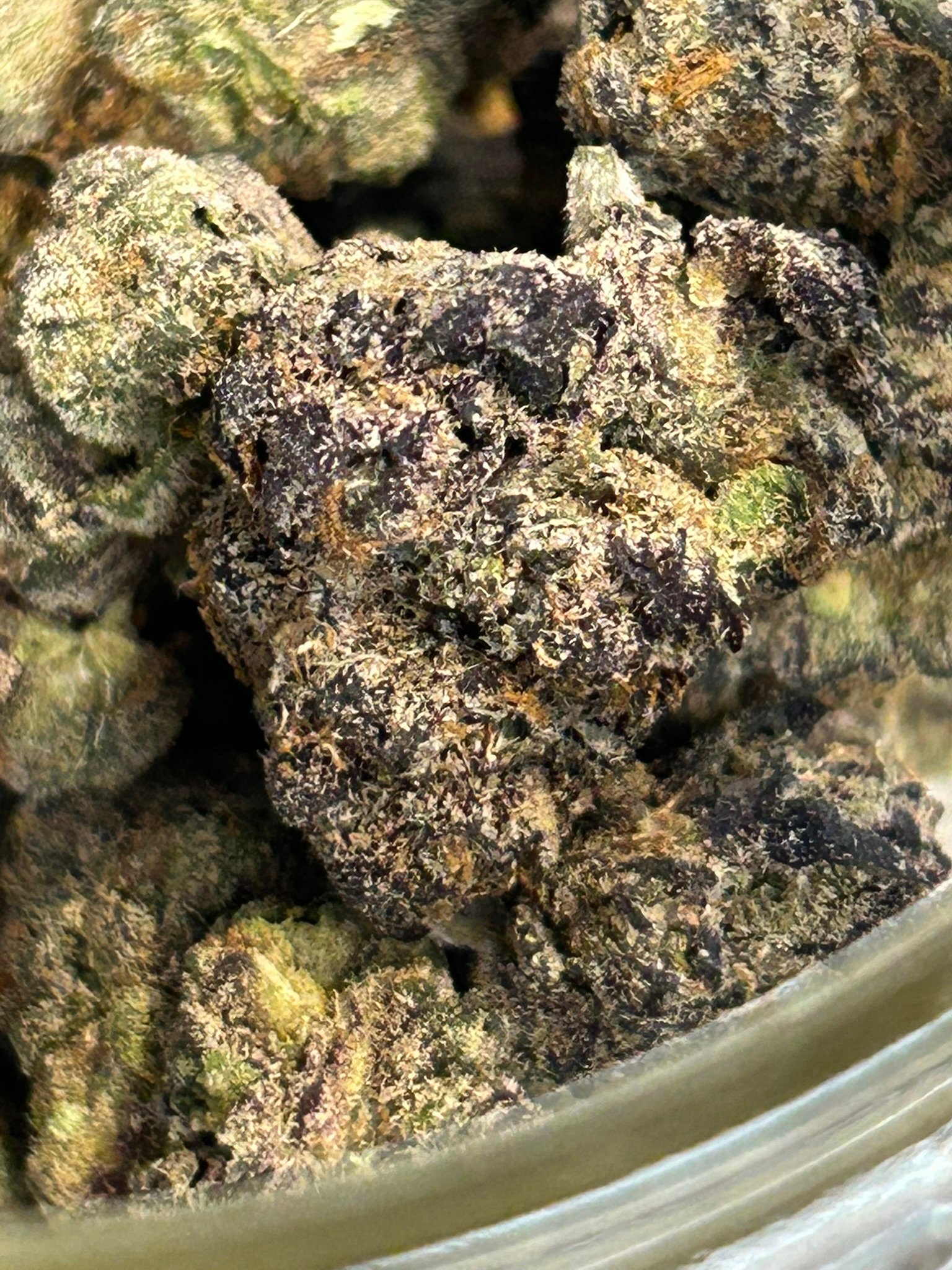 Blue Magic Exotic (User Pics/Vid) - Image 2