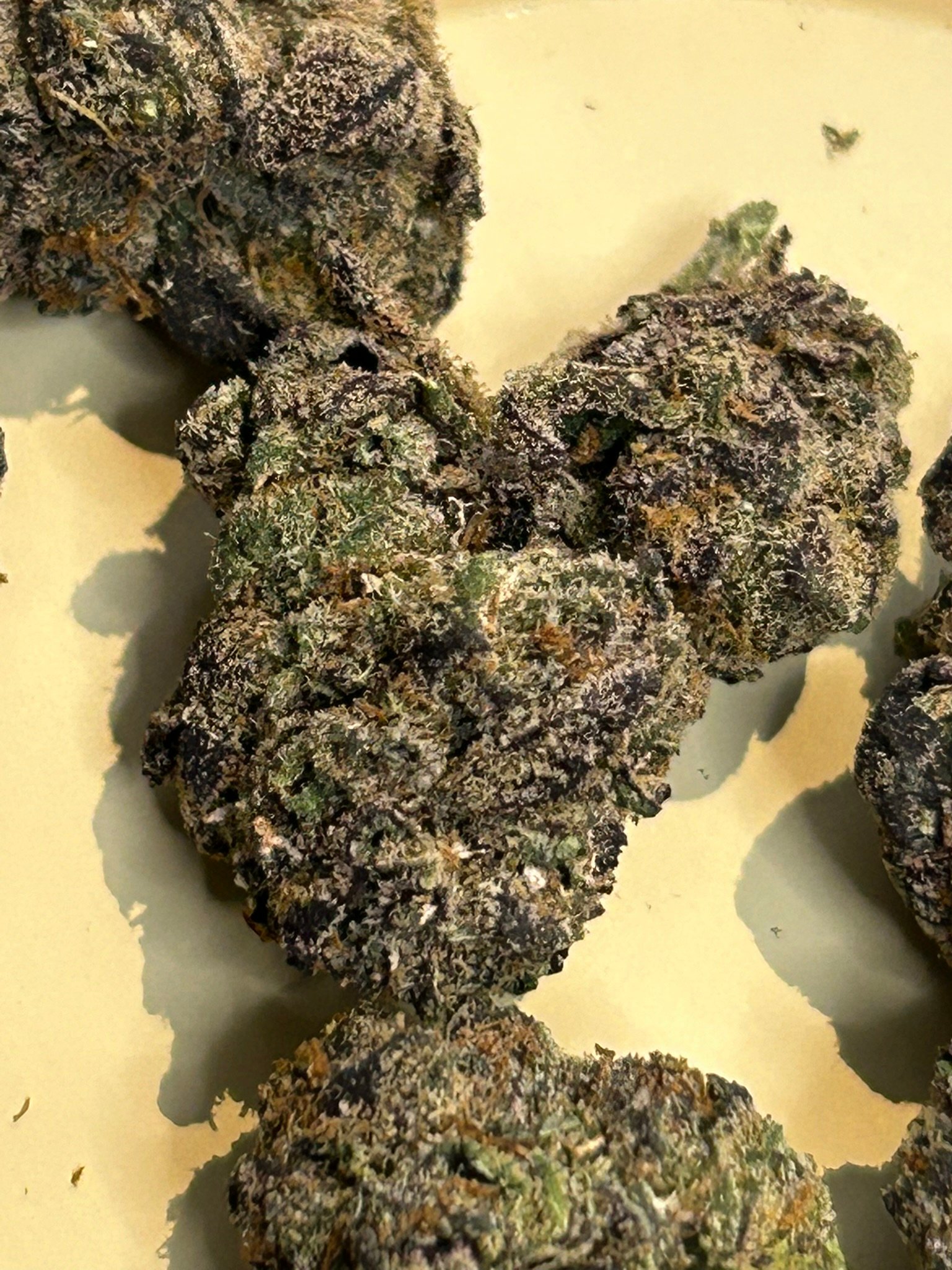 Blue Magic Exotic (User Pics/Vid) - Image 9