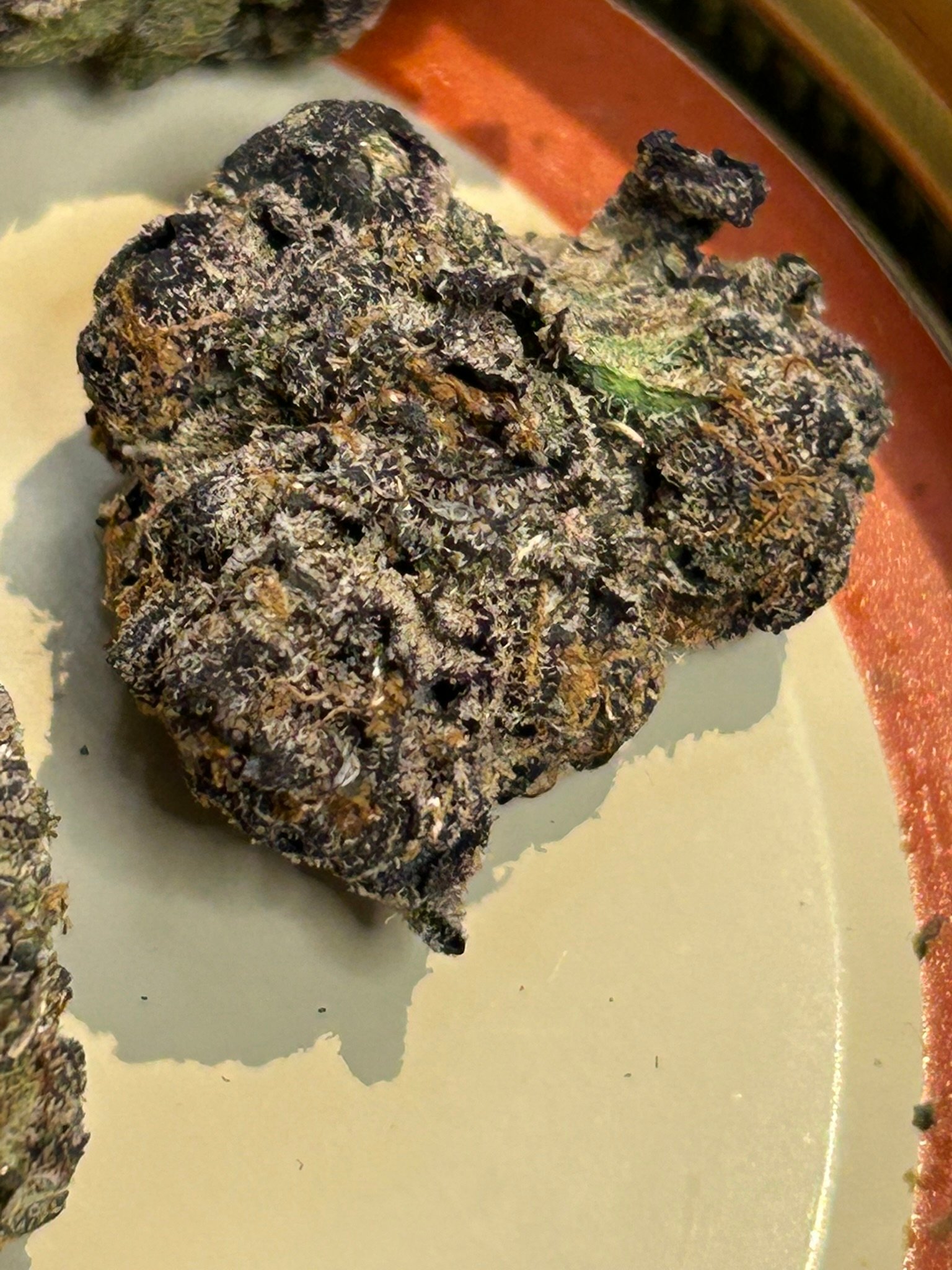 Blue Magic Exotic (User Pics/Vid) - Image 4
