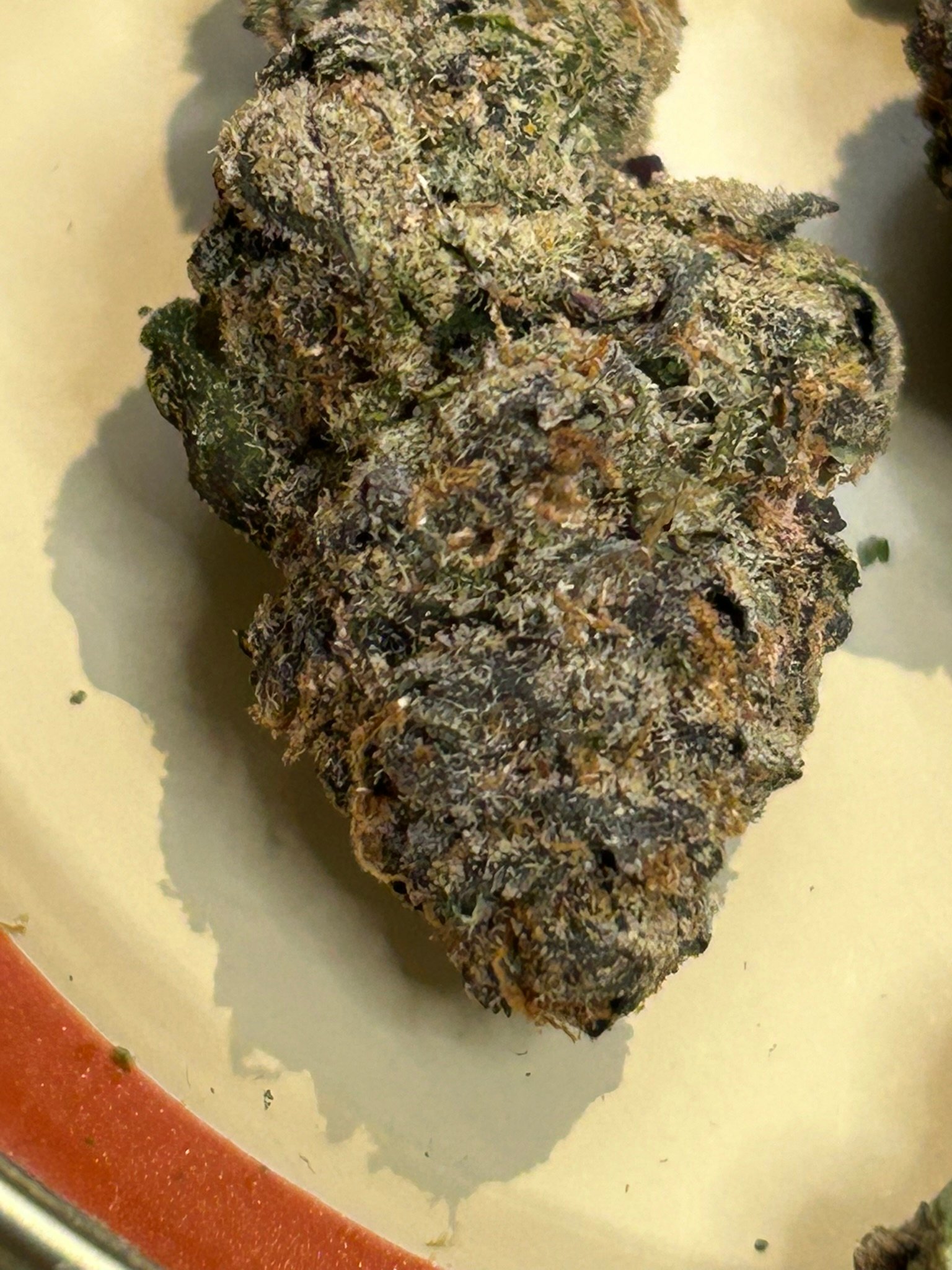 Blue Magic Exotic (User Pics/Vid) - Image 10