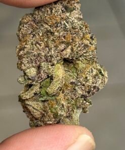 Blue Magic Exotic (User Pics/Vid) - Image 11