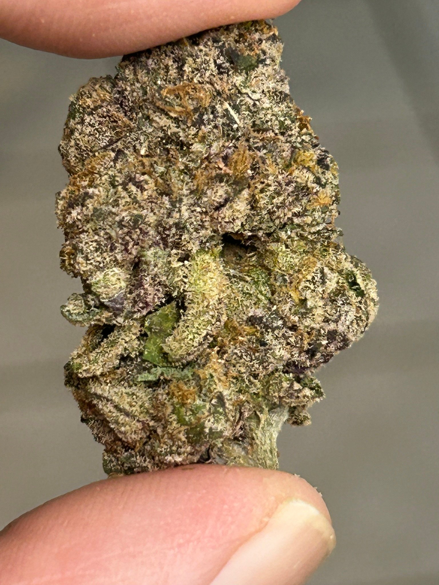 Blue Magic Exotic (User Pics/Vid) - Image 11