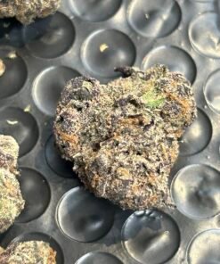 Blue Magic Exotic (User Pics/Vid) - Image 21