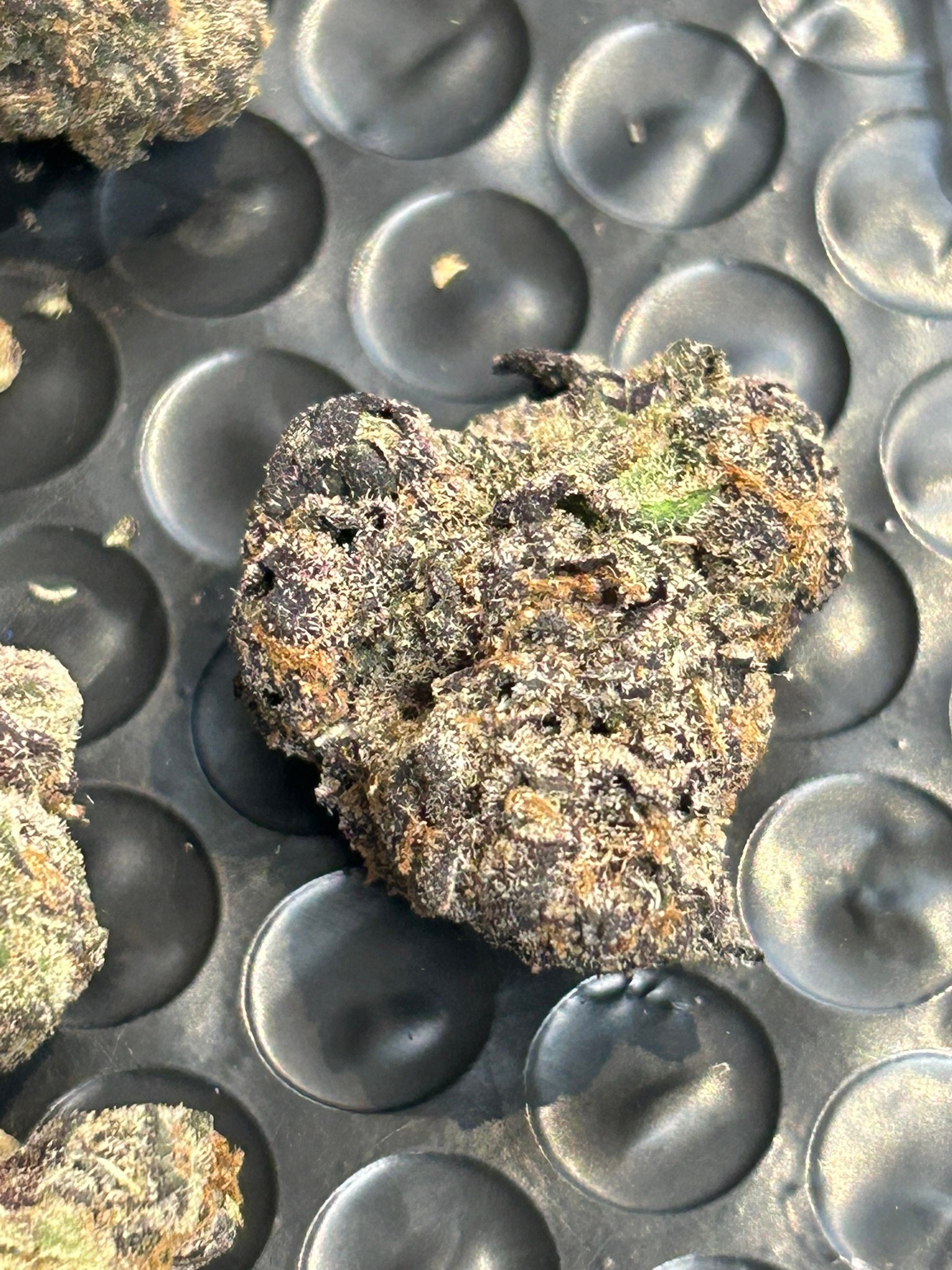 Blue Magic Exotic (User Pics/Vid) - Image 21