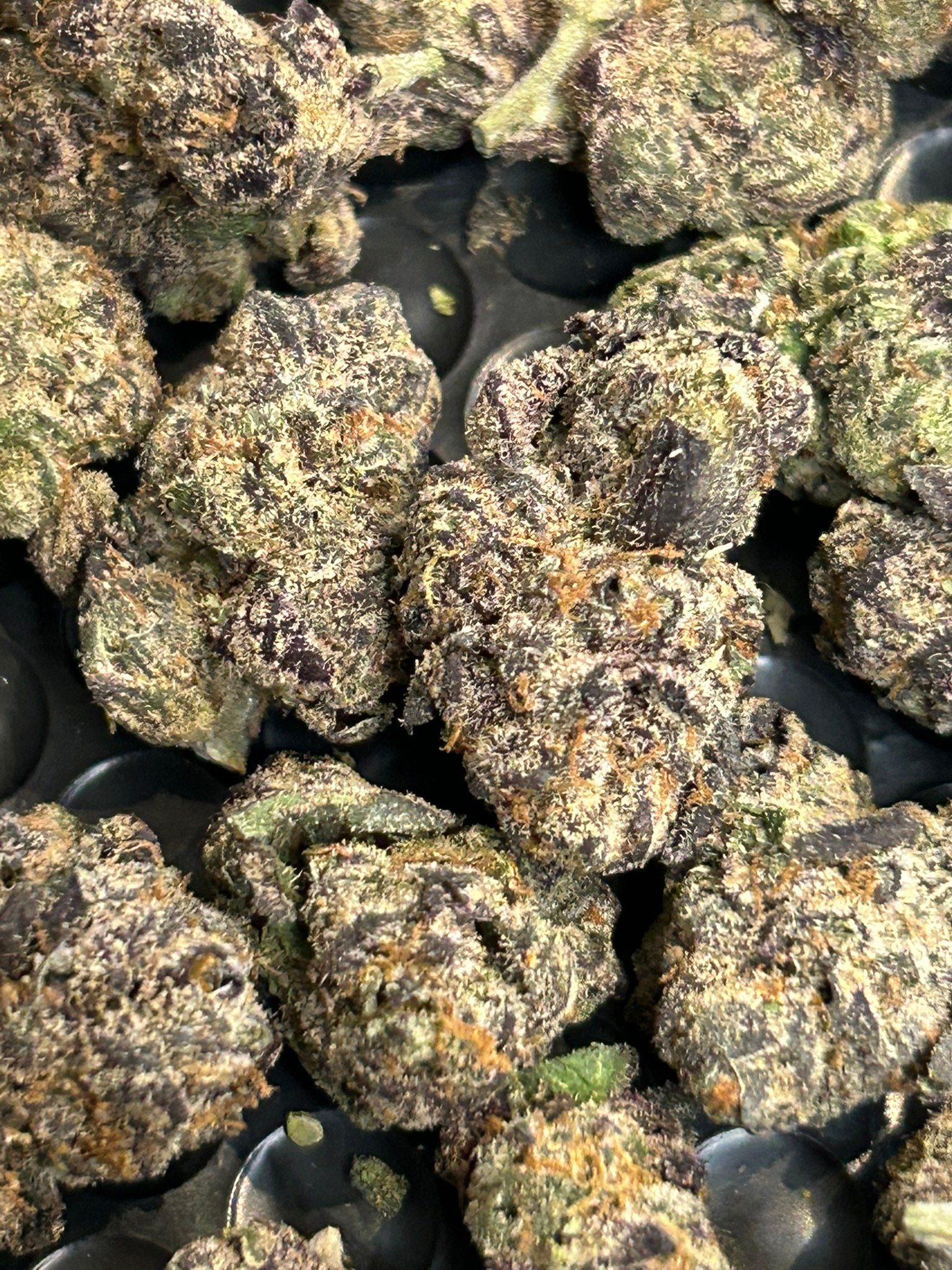 Blue Magic Exotic (User Pics/Vid) - Image 3
