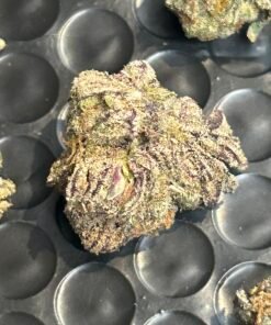 Blue Magic Exotic (User Pics/Vid) - Image 19