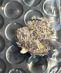 Blue Magic Exotic (User Pics/Vid) - Image 18