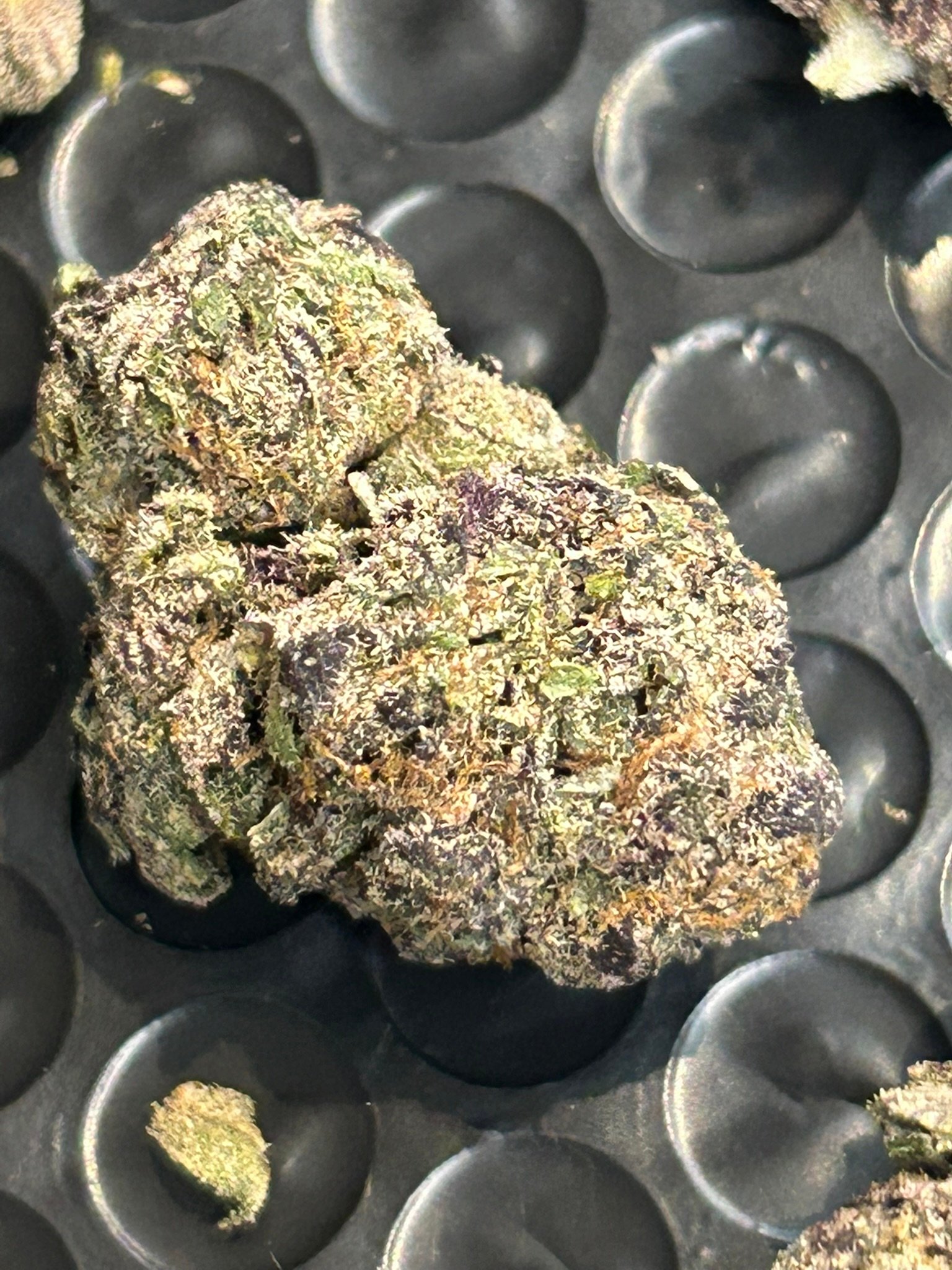 Blue Magic Exotic (User Pics/Vid) - Image 17