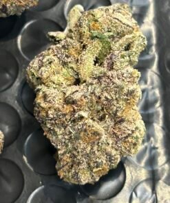 Blue Magic Exotic (User Pics/Vid) - Image 16