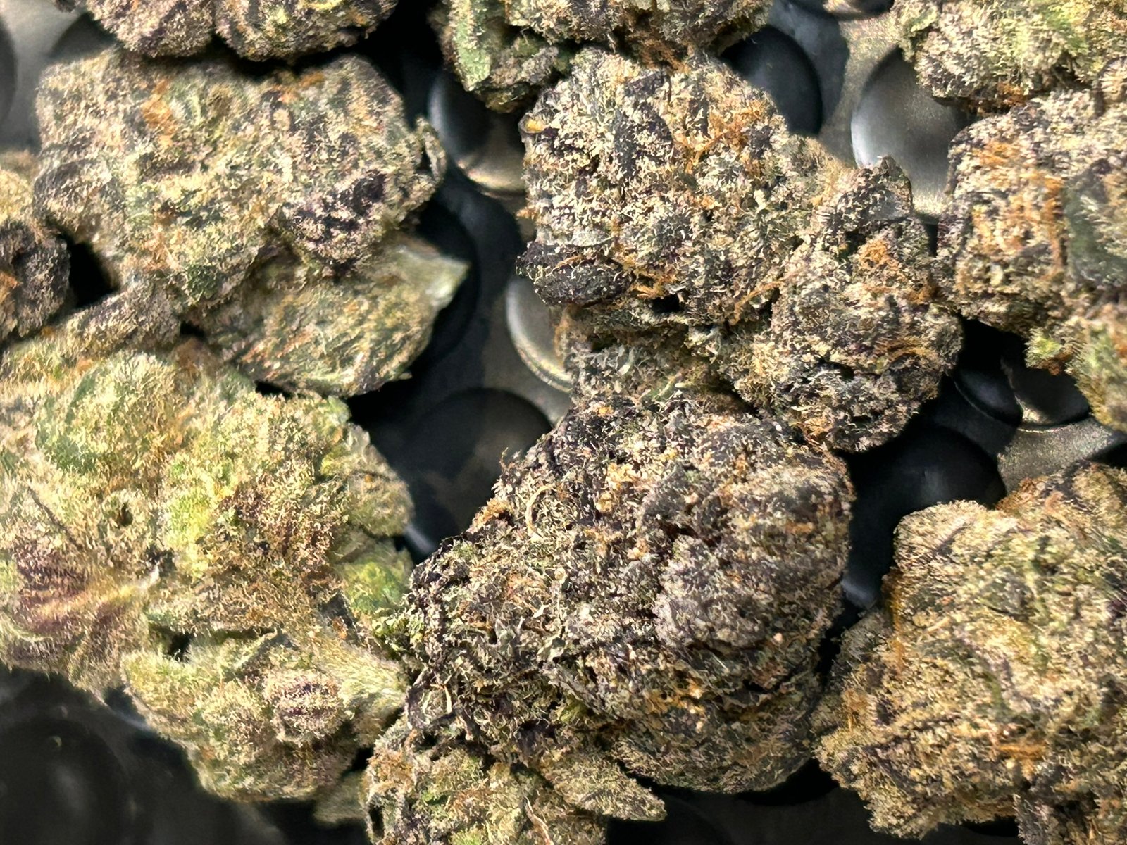 Blue Magic Exotic (User Pics/Vid) - Image 13