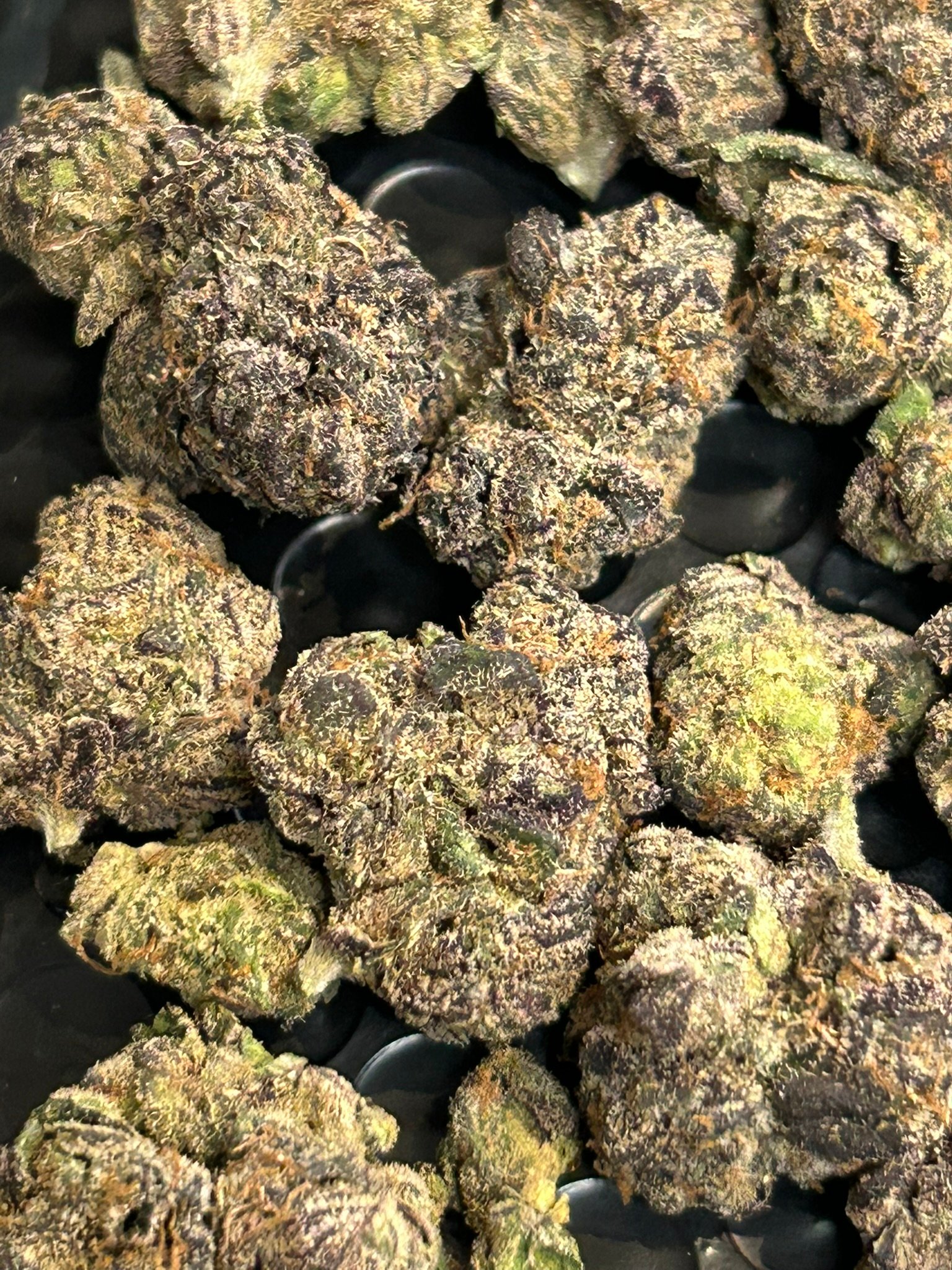 Blue Magic Exotic (User Pics/Vid) - Image 12