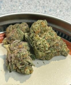 Pluto 85 (user pics/vid)